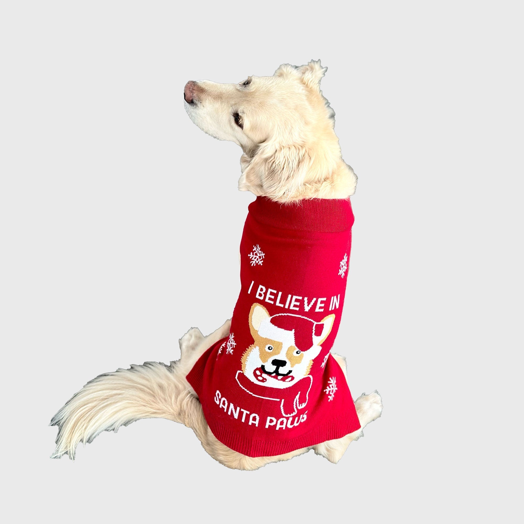 Santa paws Hunde-Weihnachtspullover